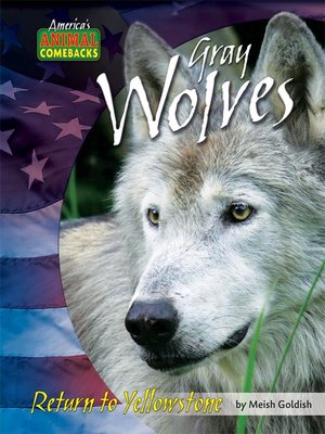 cover image of Gray Wolves